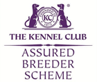 Kennel Club accredited breeder