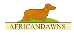 Africandawns dog training centre and boarding kennels logo and link to homepage