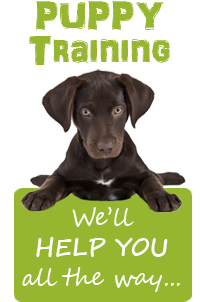 Give your puppy the best start in life and enrol in our puppy classes